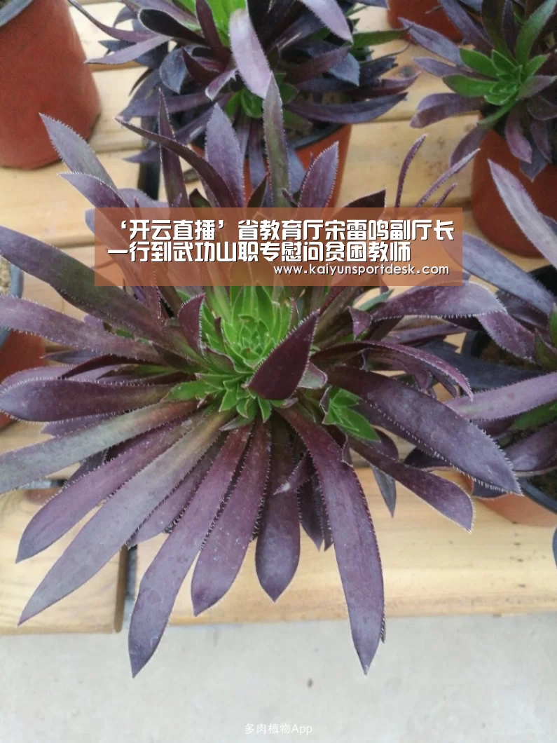 ‘开云直播’省教育厅宋雷鸣副厅长一行到武功山职专慰问贫困教师