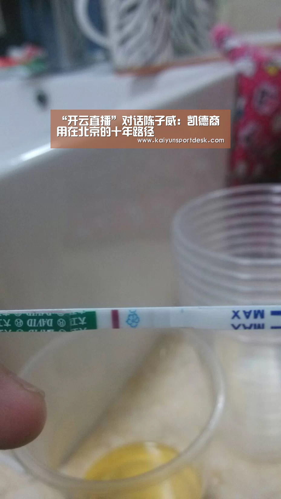 “开云直播”对话陈子威:凯德商用在北京的十年路径(图4) 开云入口