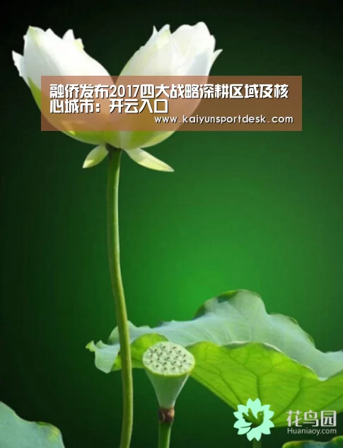 融侨发布2017四大战略深耕区域及核心城市:开云入口(图3) 开云赛程